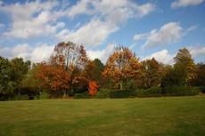 Herbststimmung-25-10-09 005.jpg